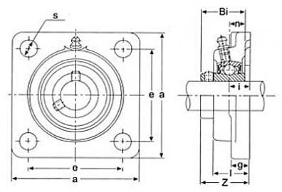 Stainless Steel UCFSS Four Bolt Flange Mounted Ball Bearing Units